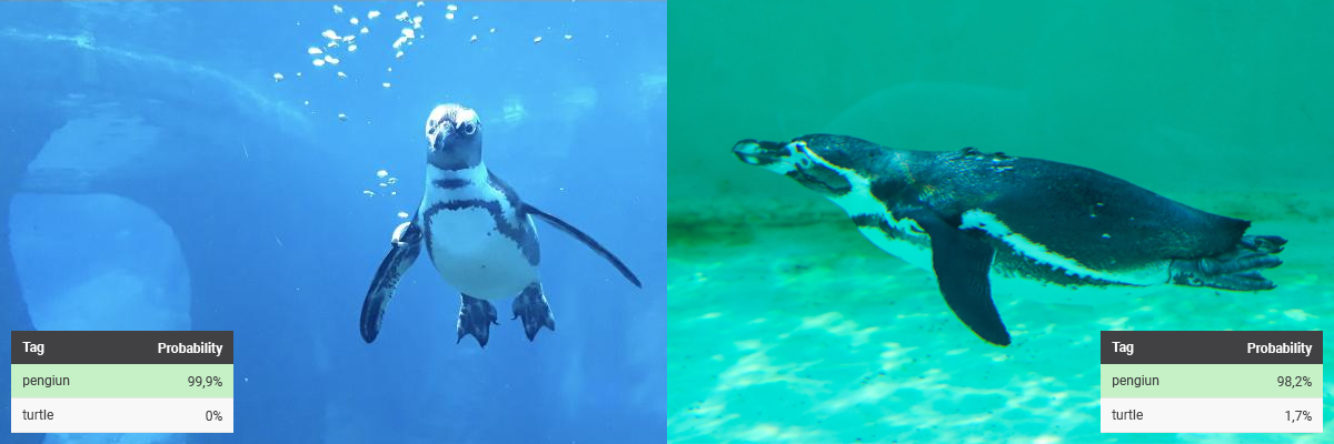 Computer vision accurately detecting two swimming penguins, aided by the use of synthetic data