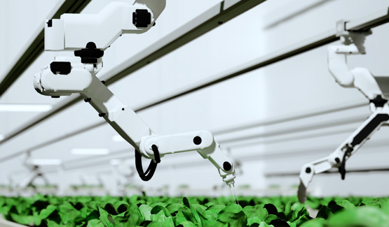 Agriculture Robots