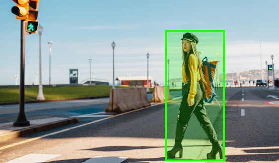 Pedestrian Detection