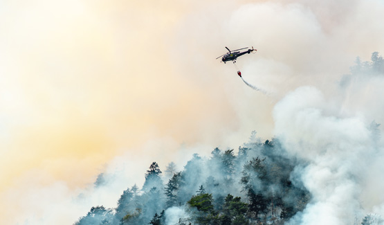 Forest Fire Detection