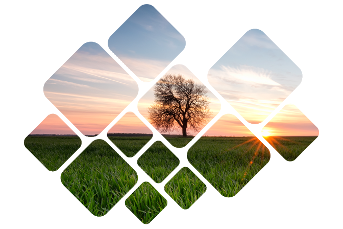 Monitor, Analyse, and Manage Natural Resources and Environments