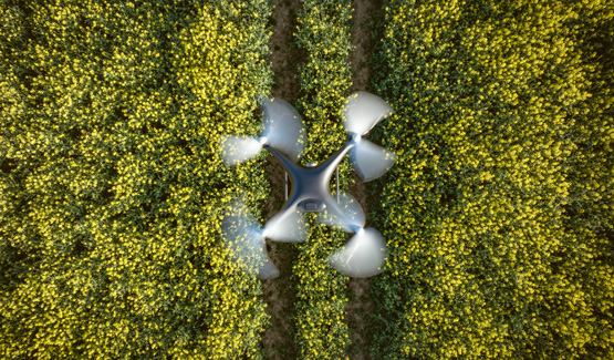 Remote Environment Monitoring